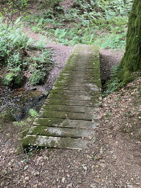 Bridge near Bury